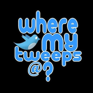 A Few More Tips On How To Increase Your Tweeps