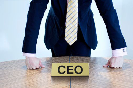 The Social CEO