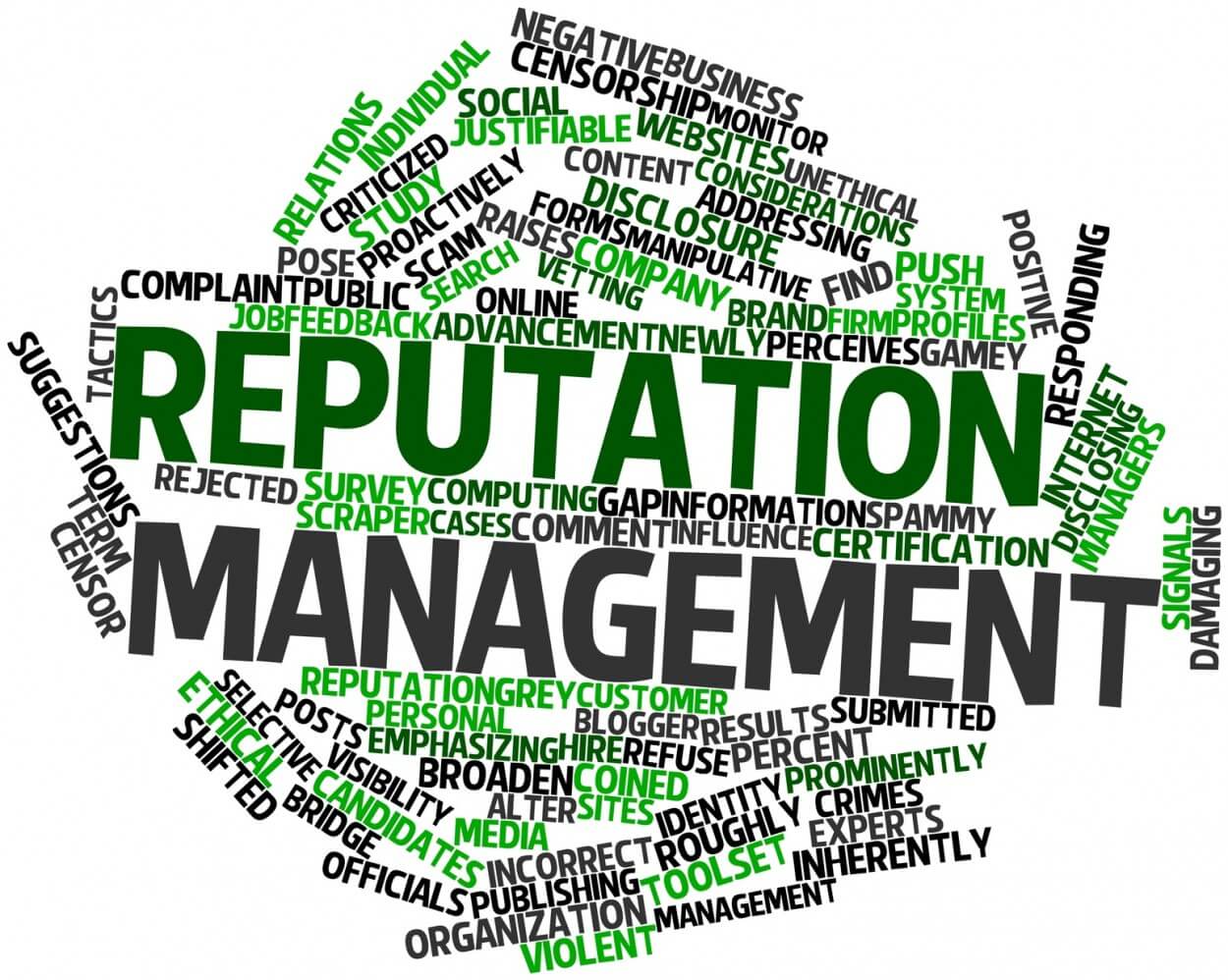 Reputation Management and Social Media