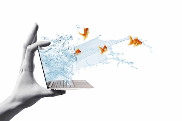Content Marketing for Goldfish