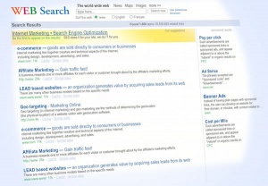Internet Web Search